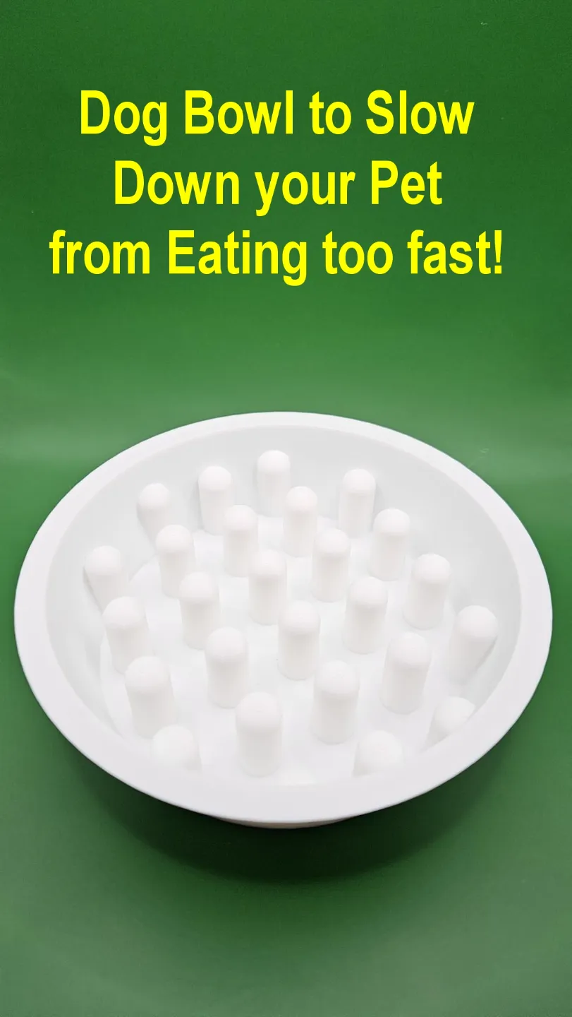 Dog Bowl - Slow Eating