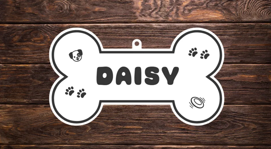 Dog House Sign DAISY