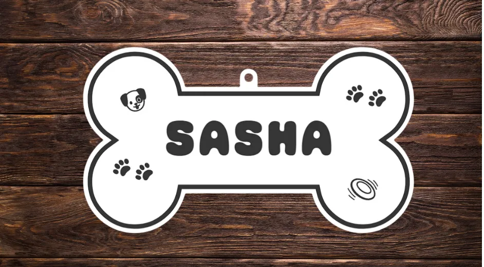 Dog House Sign SASHA