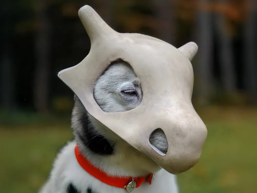 Dog mask (cubone pokemon)