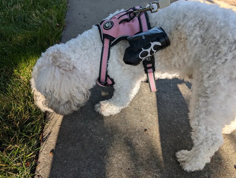 Dog Poop Bag Dispenser, photo 3 of 4 - Leash & Poop-bag Holders, Pets