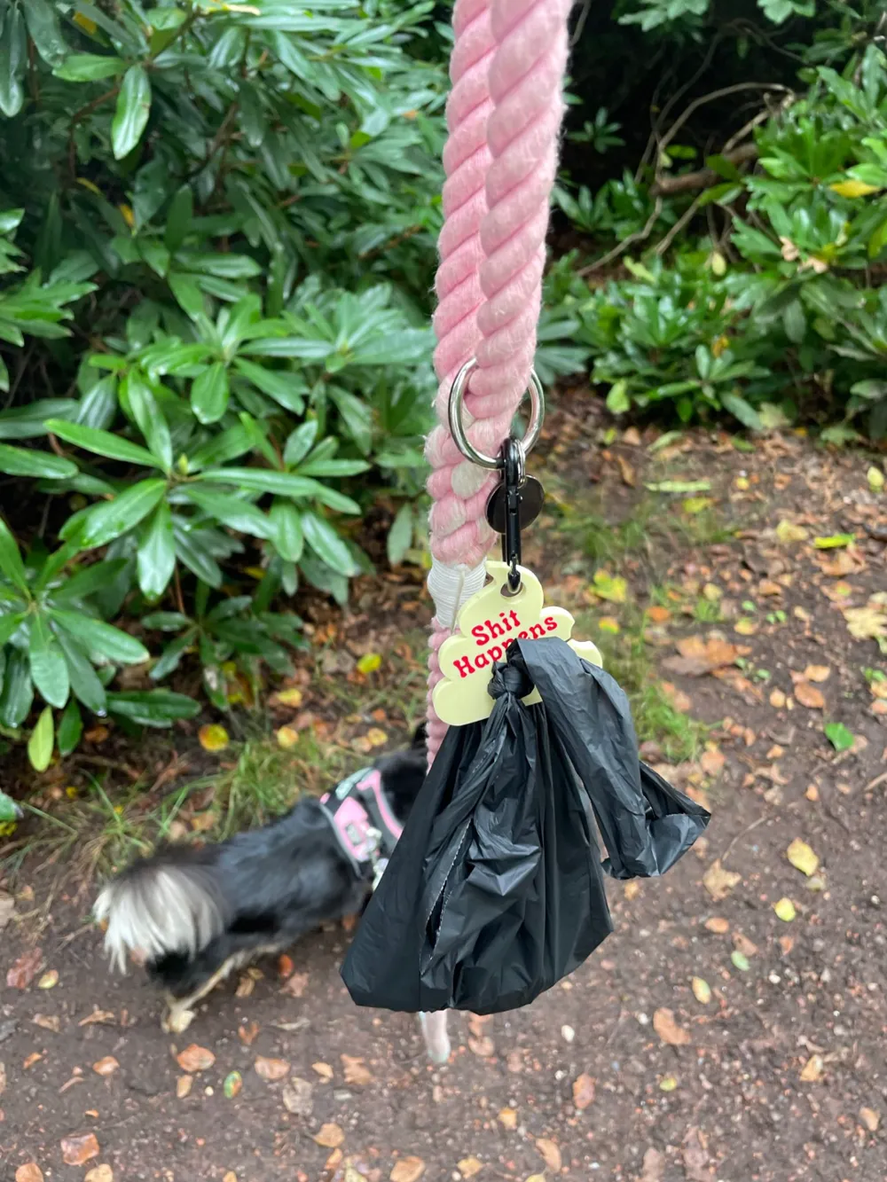 Dog Poop Bag Holder, photo 3 of 4 - Dog Poop Bag Holder Pets