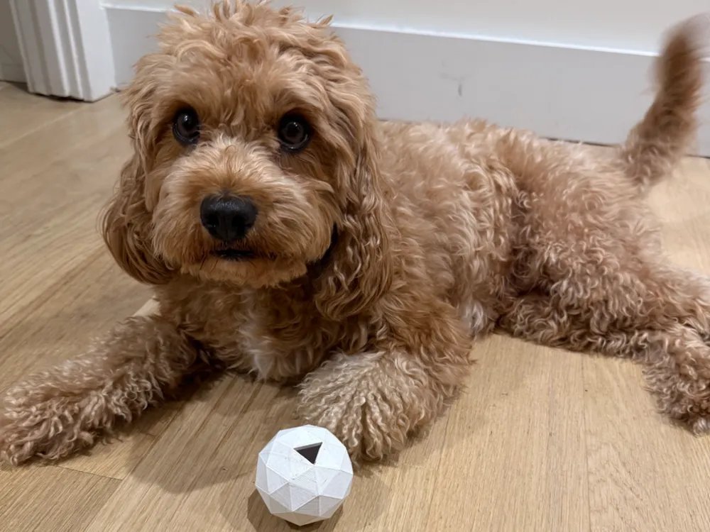 Dog Treat Puzzle Ball, for Small/Medium Dogs