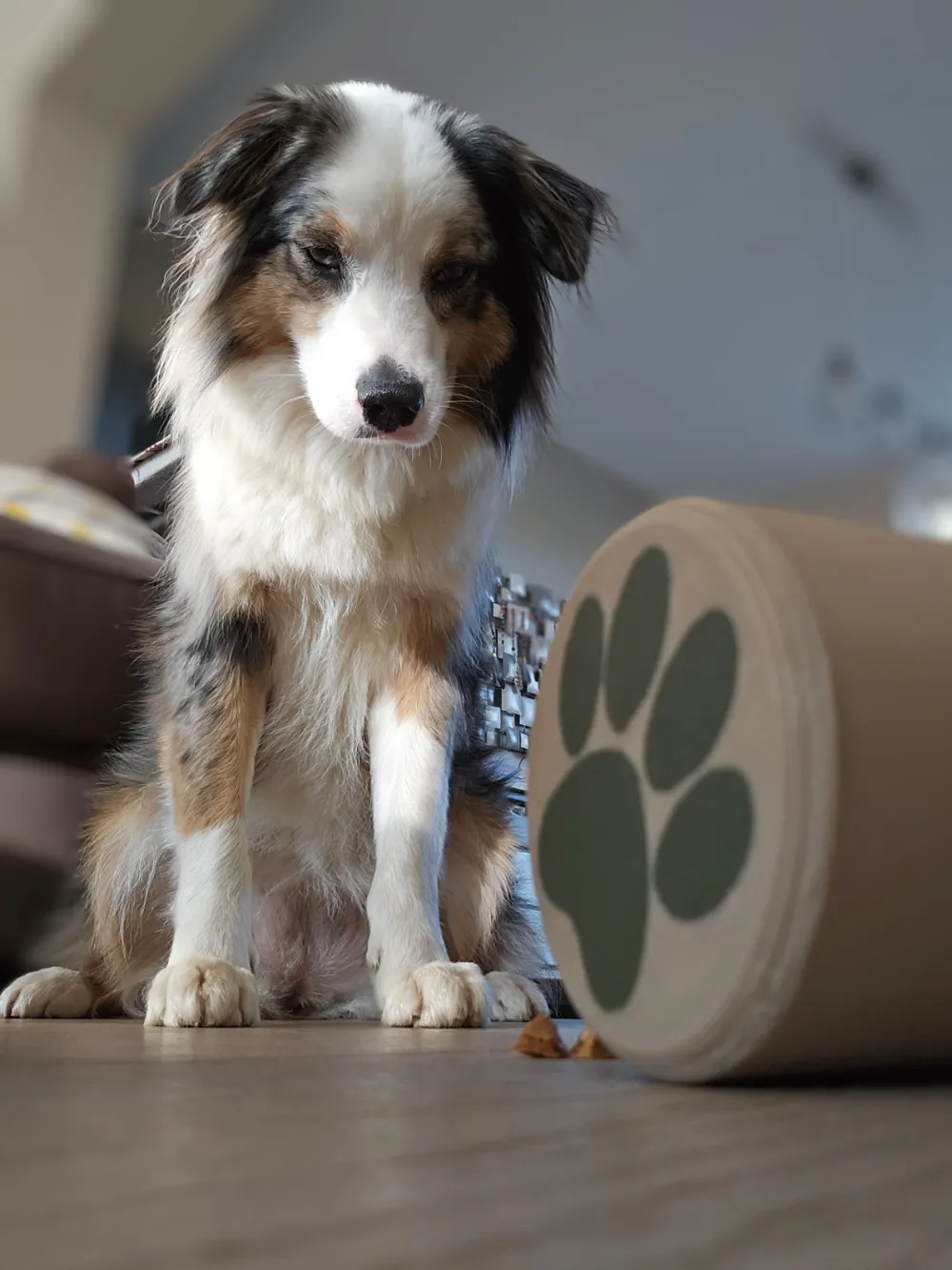Dog treat rolling dispenser, photo 3 of 4 - Dog treat rolling dispenser Pets