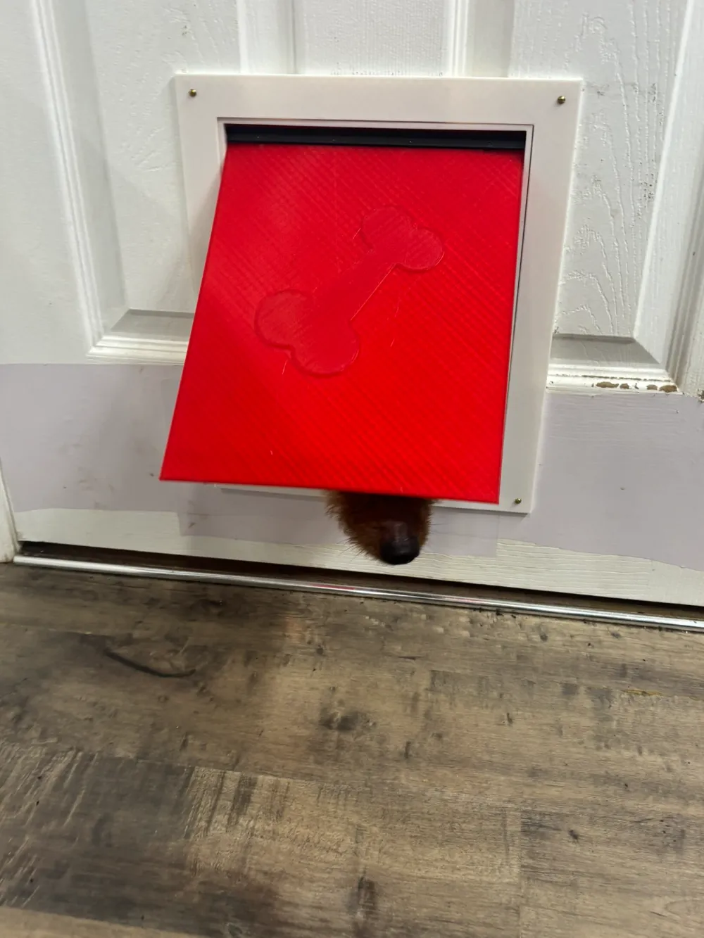 Doggy Door for XL 3D People, photo 4 of 4 - Doggy Door for XL 3D People Pets