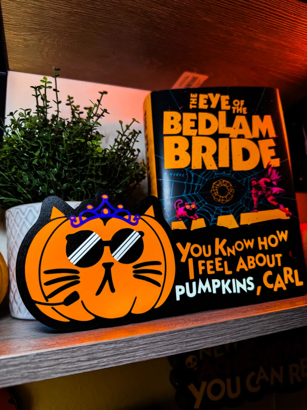 Dungeon Crawler Carl Princess Donut Halloween Sign, photo 4 of 4 - Dungeon Crawler Carl Princess Donut Halloween Sign Art