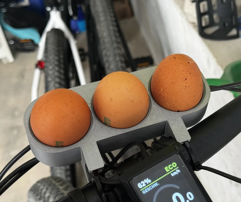 Eggmaster - Sport & Outdoors, in stock in India