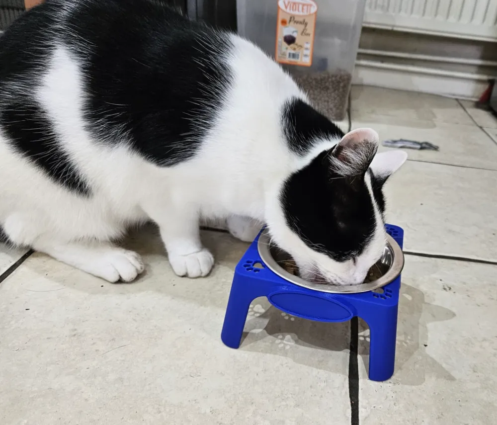 Elevated Cat Bowl stand