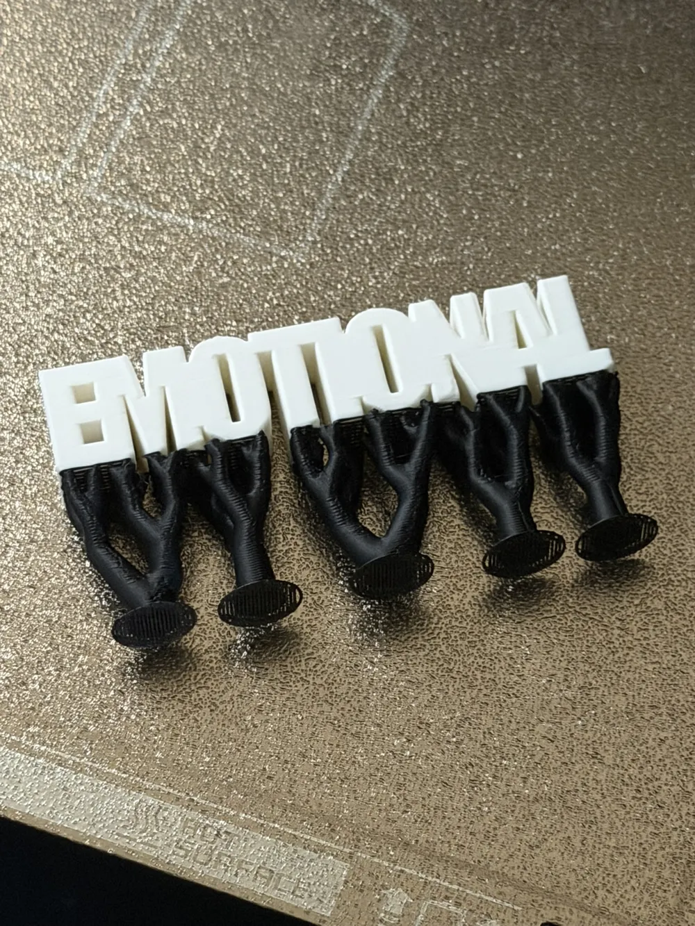 Emotional Support, photo 3 of 4 - Emotional Support Household