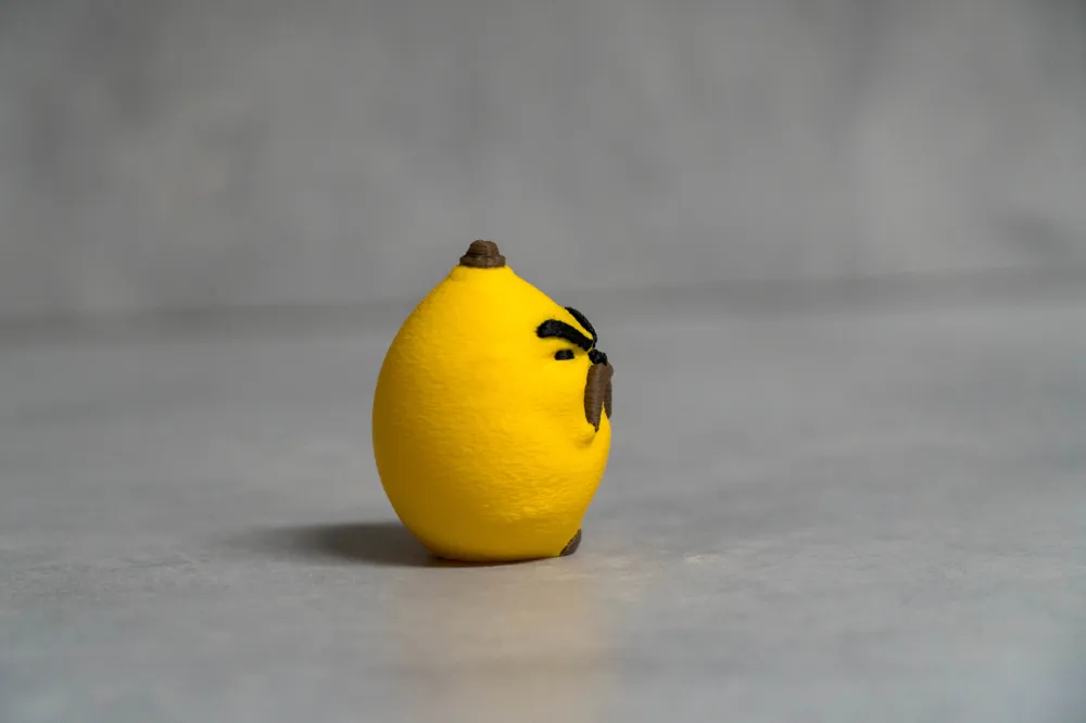 Evil (and Grumpy) Lemon, photo 5 of 5 - Toys, Games & Hobbies, evilfruit