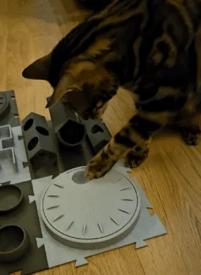 FELIX Activity Center - The Treat Wheel, photo 2 of 4 - FELIX Activity Center - The Treat Wheel Pets