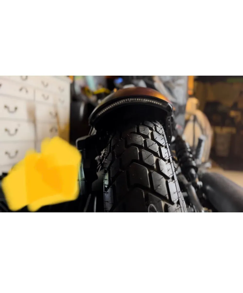 FENDER MOUNT LIGHT INDIAN SCOUTS - Vehicles, in stock in India