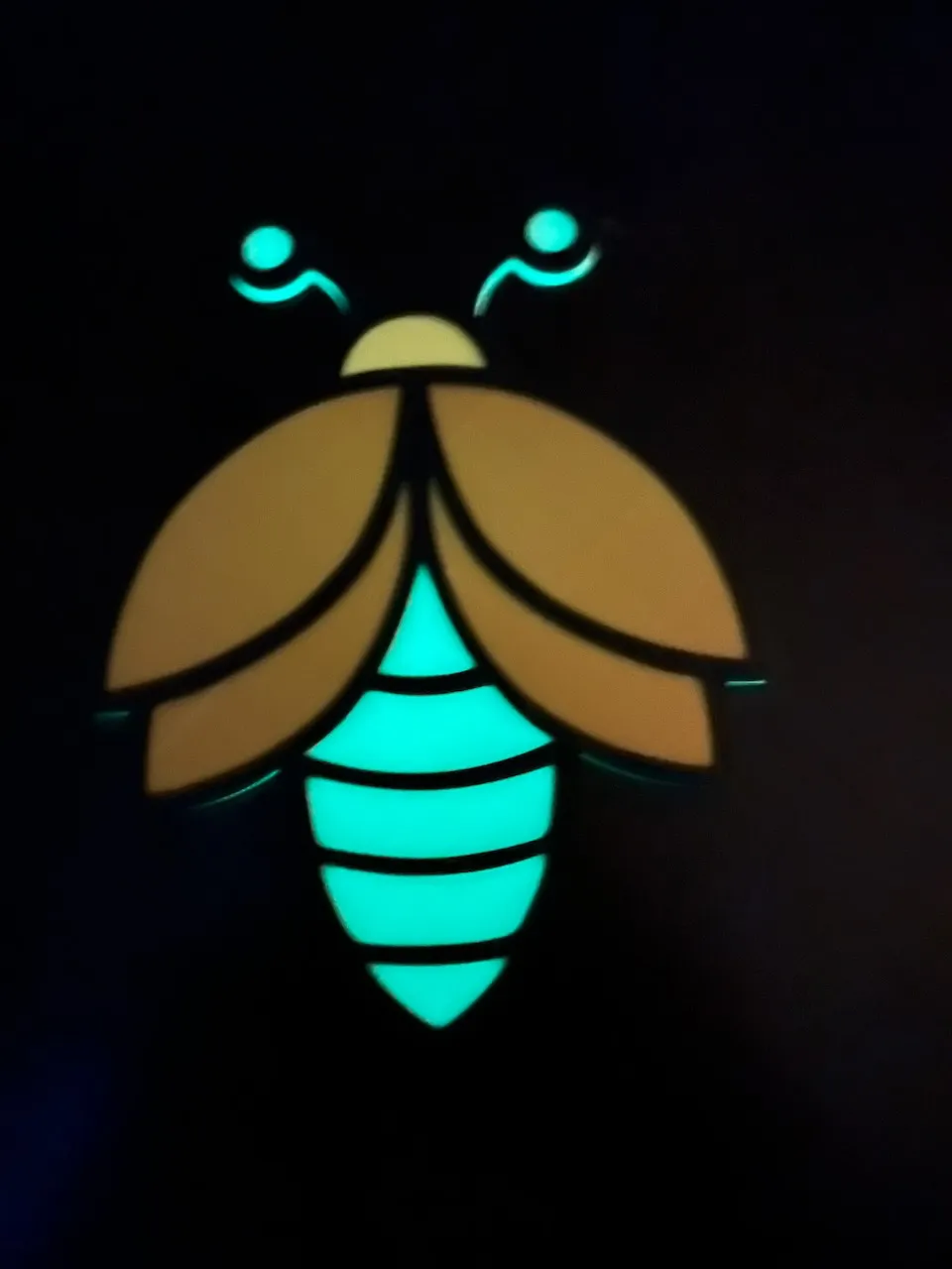 Firefly Glow in the Dark, photo 3 of 4 - Signs & Logos, insect