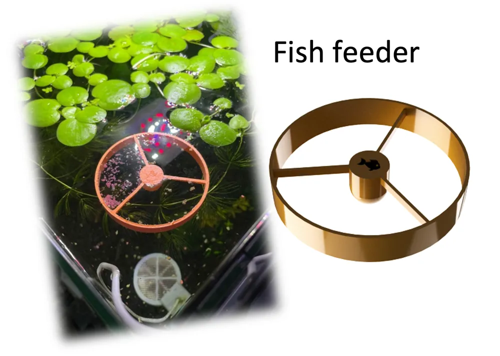 Fish feeder