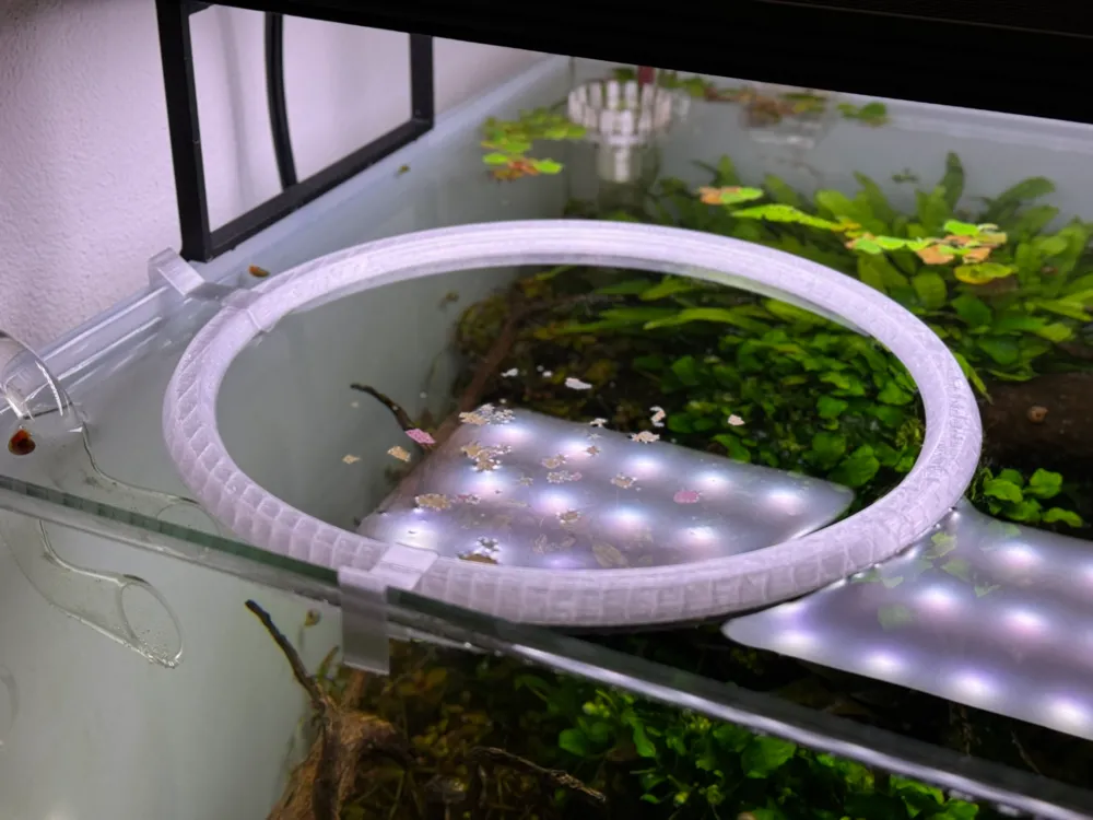 fish tank feeding ring - Aquarium - skimmer protection