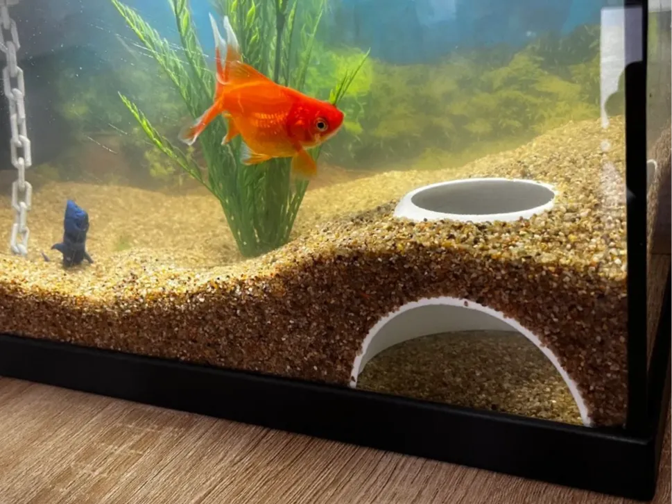 Fish tank underground hiding cave
