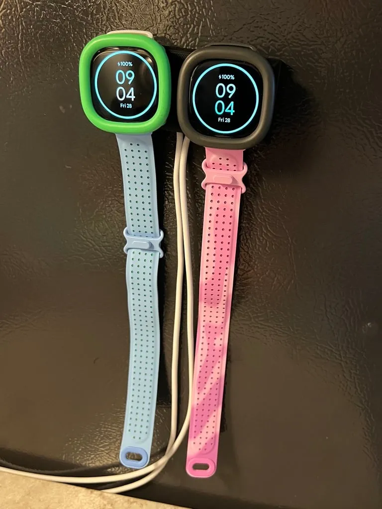Fitbit Ace LTE Dual Charging Organizer - Home Accents, in stock in India