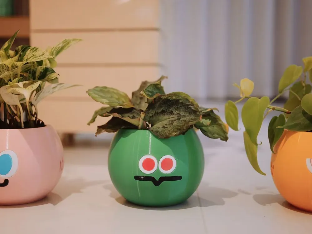 Five Ball Plant Pot with Cover - Garden, in stock in India