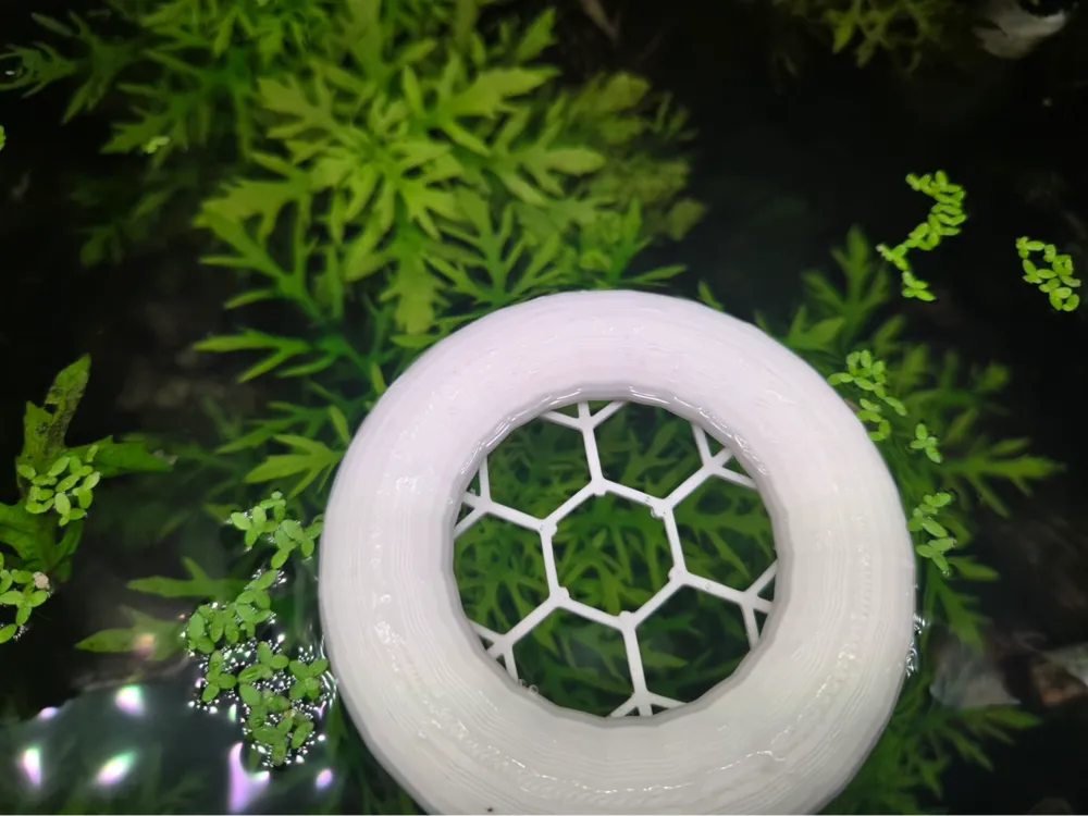 Floating Aquarium Plant Holder
