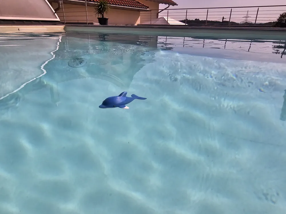 Floating Dolphin - Pool Toy, photo 3 of 5 - Water & Sand Toys, pooltoy
