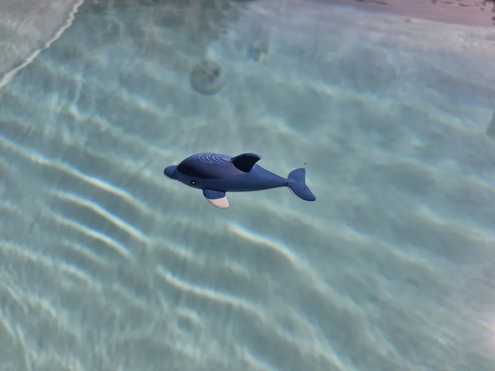 Floating Dolphin - Pool Toy, photo 5 of 5 - Water & Sand Toys, swimming pool