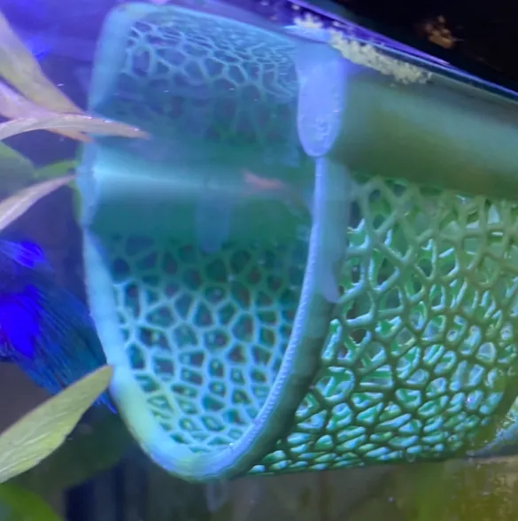 Floating Fish Hammock