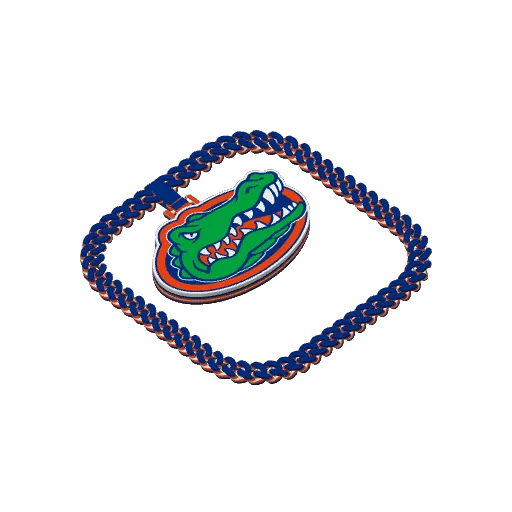 Florida Gators Sports Chain, photo 3 of 3 - Florida Gators Sports Chain Fashion