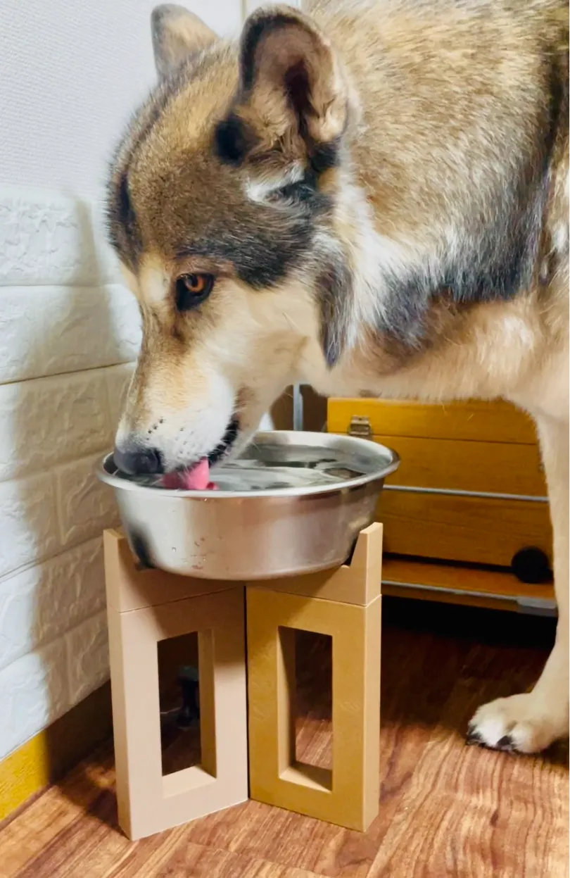 Food Bowl Raiser Stand - Fish Feeders & Feeding Rings, in stock
