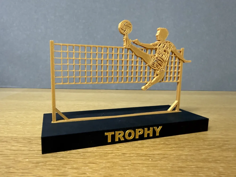 Footvolley Trophy one player, photo 2 of 4 - Footvolley Trophy one player Hobby & DIY