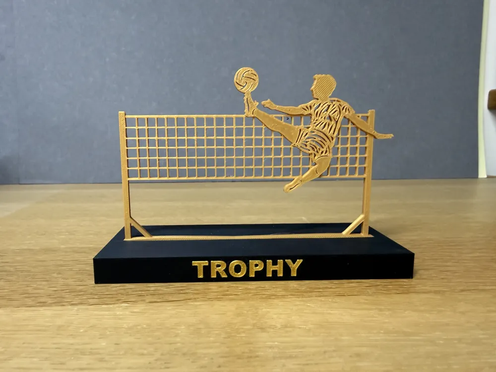 Footvolley Trophy one player, photo 3 of 4 - Footvolley Trophy one player Hobby & DIY