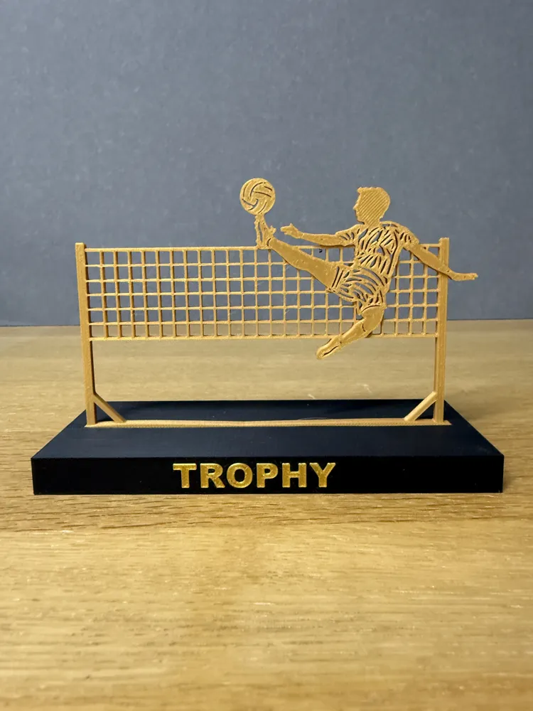 Footvolley Trophy one player, photo 4 of 4 - Footvolley Trophy one player Hobby & DIY