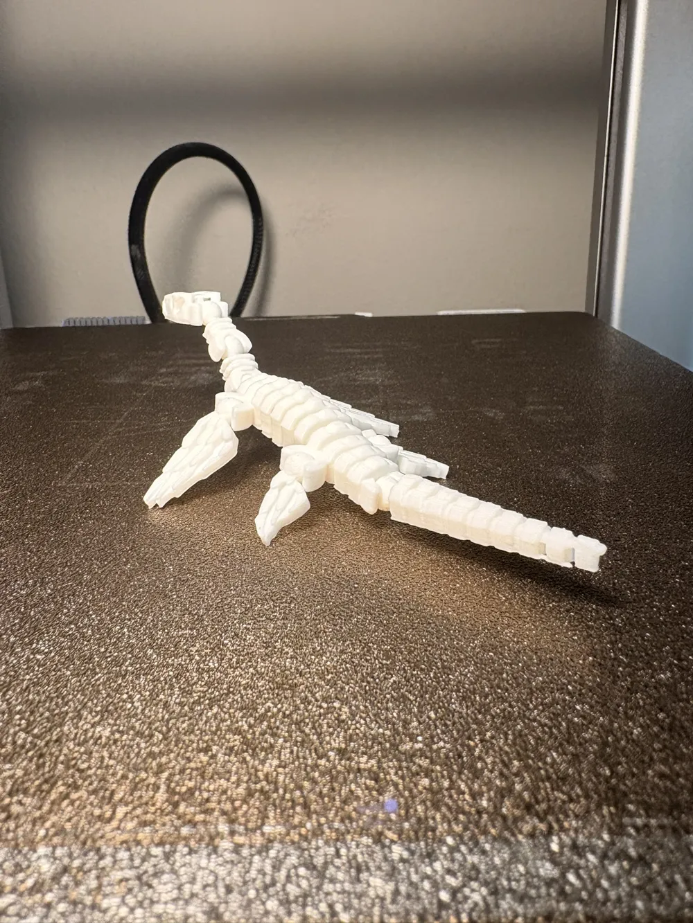 Fossil Plesiosaurus, photo 2 of 4 - Fossil Plesiosaurus Toys & Games