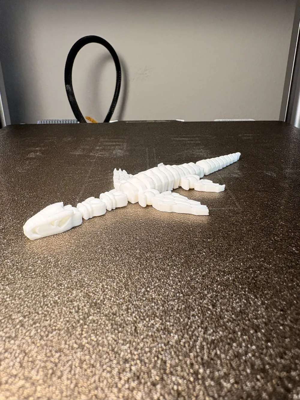 Fossil Plesiosaurus, photo 4 of 4 - Fossil Plesiosaurus Toys & Games