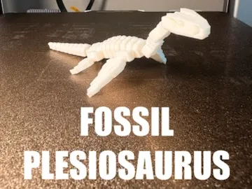 Fossil Plesiosaurus - Other Toys & Games, in stock in India
