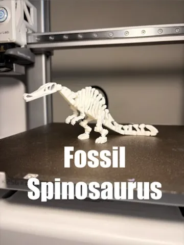 Fossil Spinosaurus, photo 2 of 4 - Fossil Spinosaurus Toys & Games