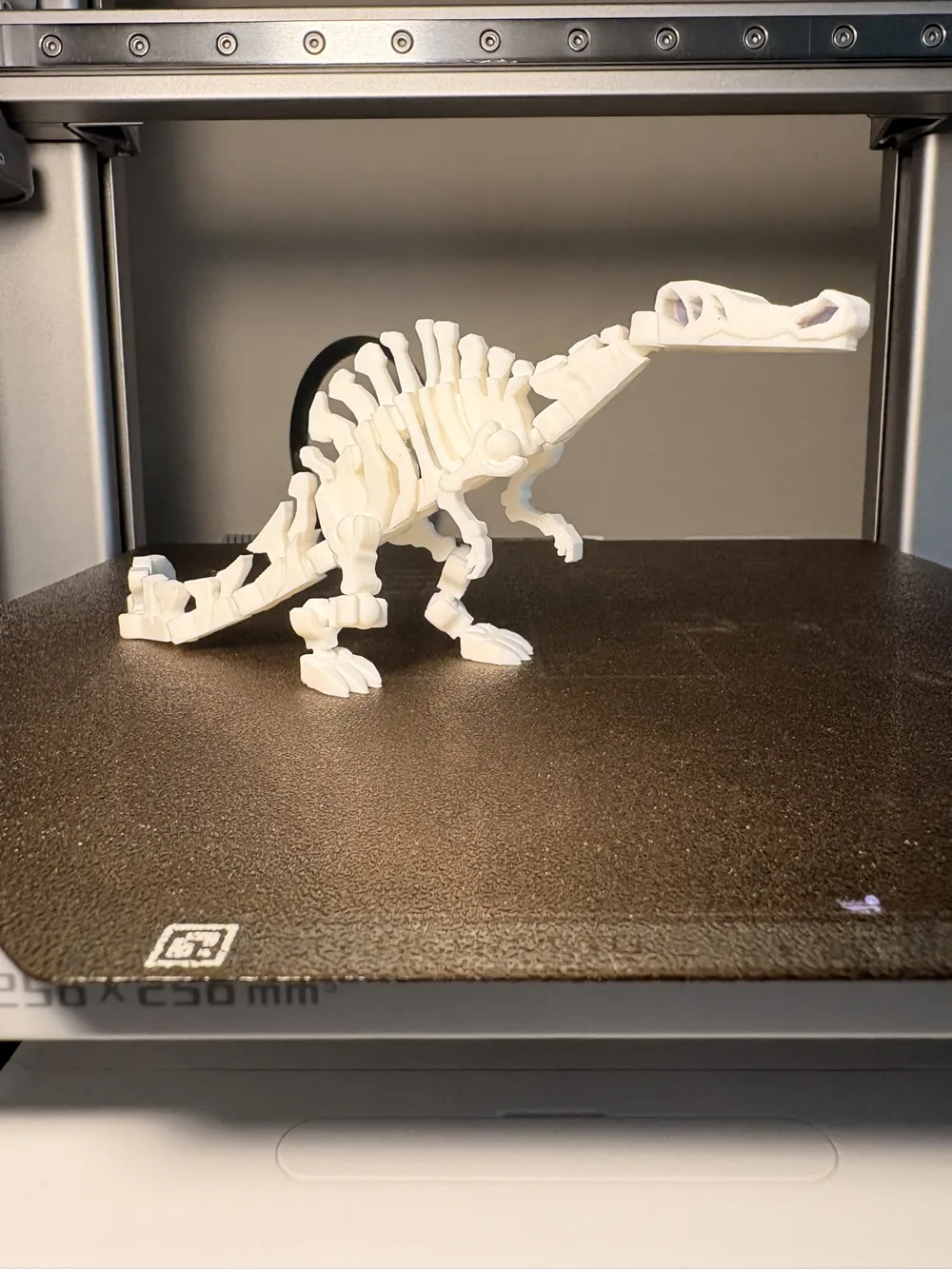 Fossil Spinosaurus, photo 3 of 4 - Fossil Spinosaurus Toys & Games
