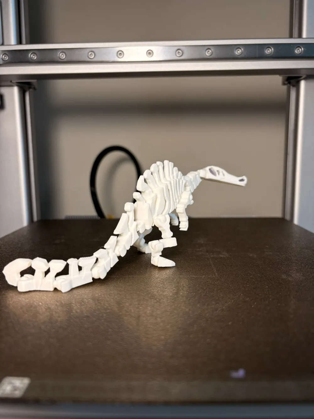 Fossil Spinosaurus, photo 4 of 4 - Fossil Spinosaurus Toys & Games