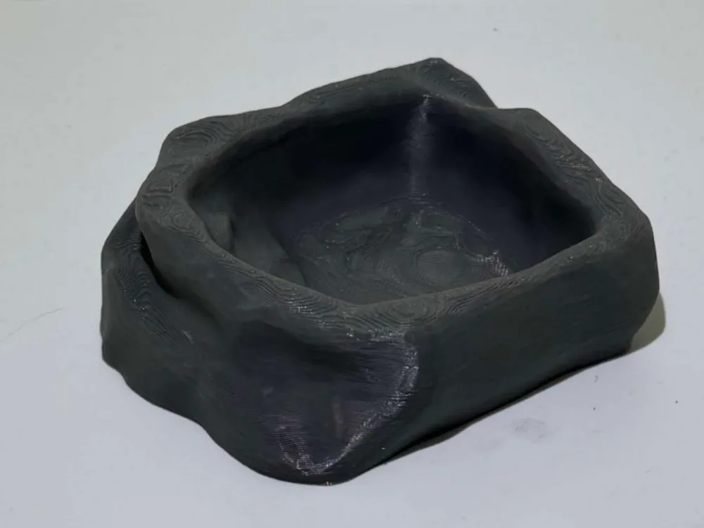 Friendly Reptile Dish