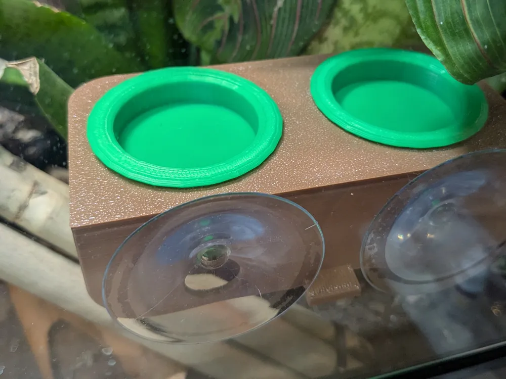 Gecko Feeding Ledge with Cups