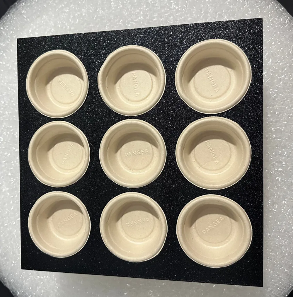 Gecko Food Prep Tray