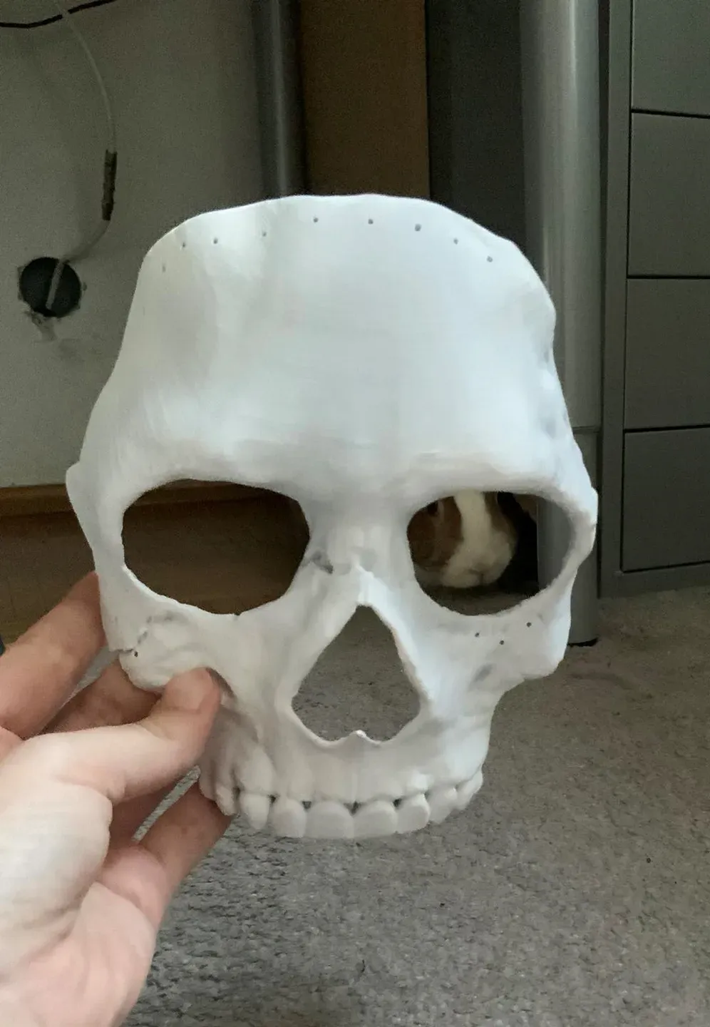 Ghost Mask (COD MWII 2022)