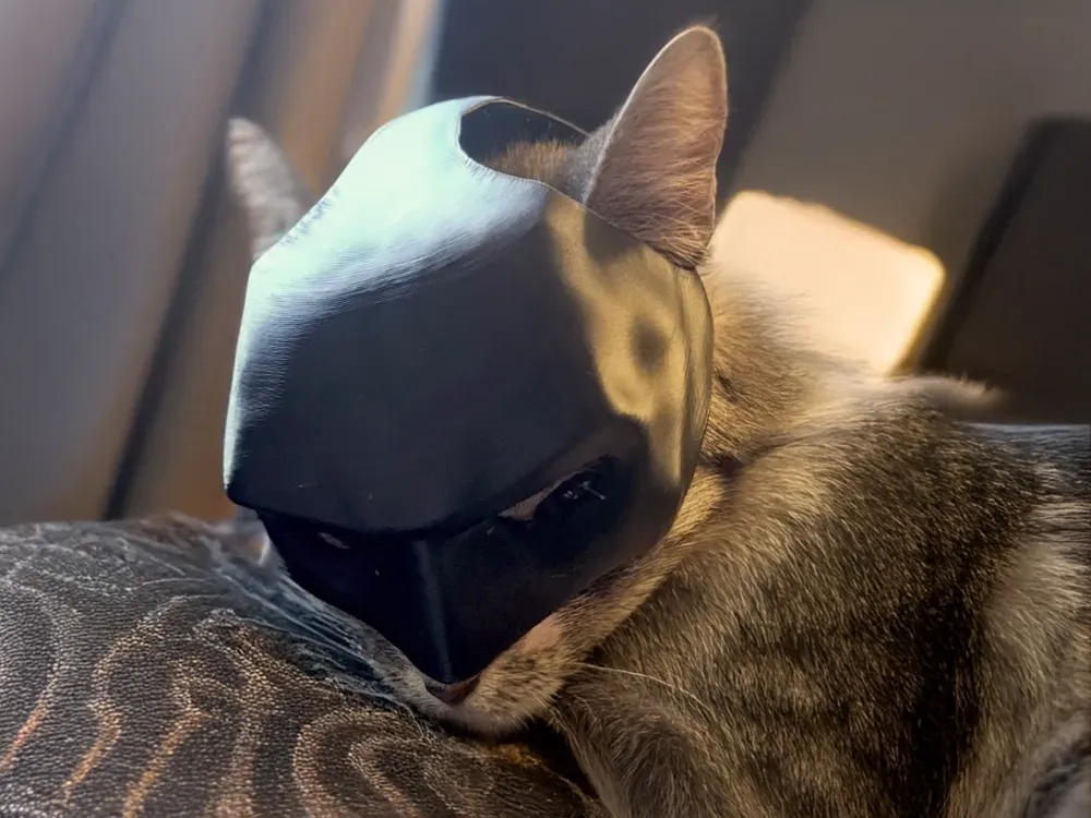 ghotam cat (GHOTAM KITTY) CAT MASK BATMAN