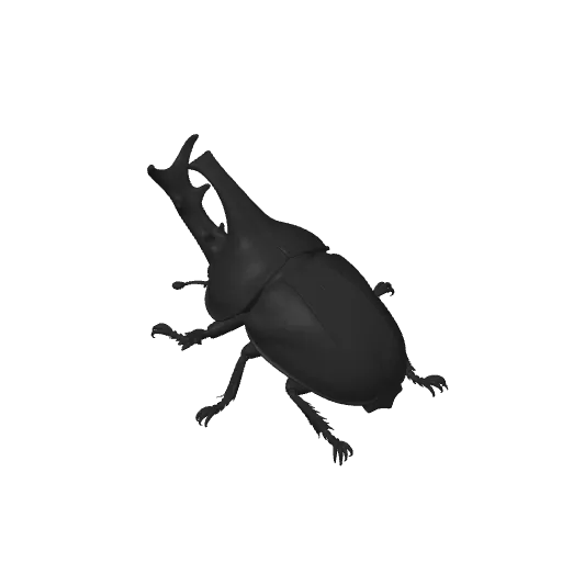 Giant Rhinoceros Beetle Realistic Model, photo 4 of 4 - Giant Rhinoceros Beetle Realistic Model Miniatures
