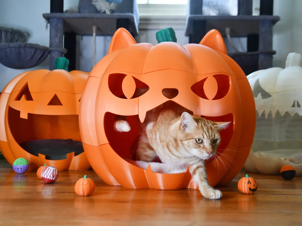 Giant Jack O Lantern Pumpkin Pet Bed