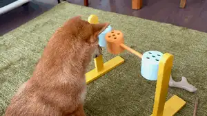 Shiba-Approved Slow Feeder Enrichment Toy