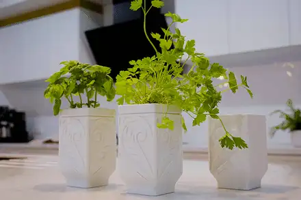 Self-watering Herb Planter for the kitchen
