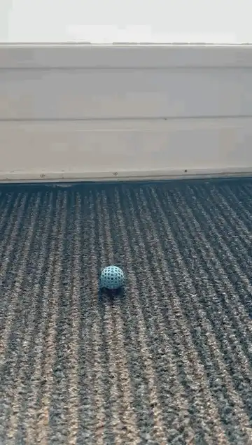 Cat Fidget Toy - Mini Ball edition