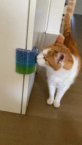 Self Purrfect Groom Brush - easy to & strong