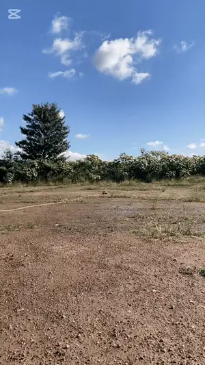 Model Rocket With Motor Mount