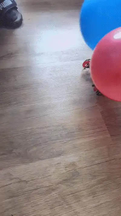 Turbo Twin Balloon Race Car